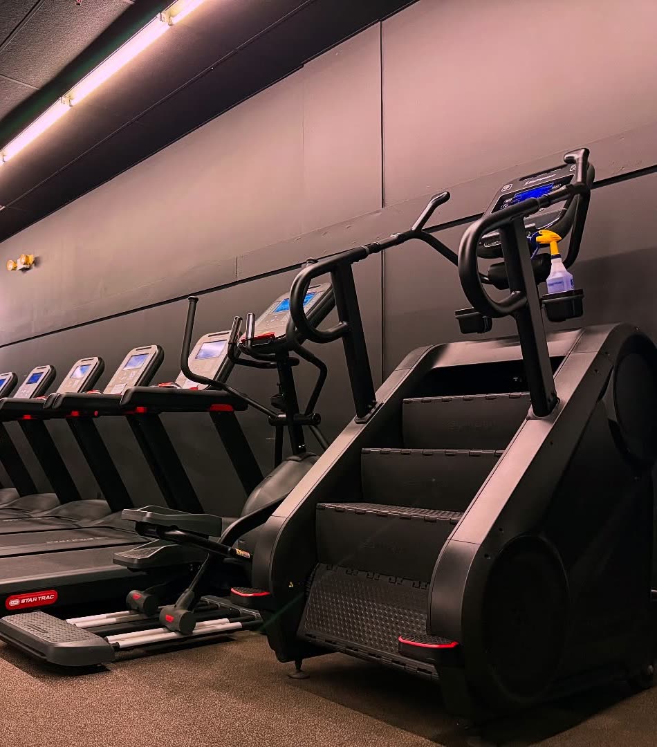 A row of Star Trac treadmills beside an elliptical and a stair climber